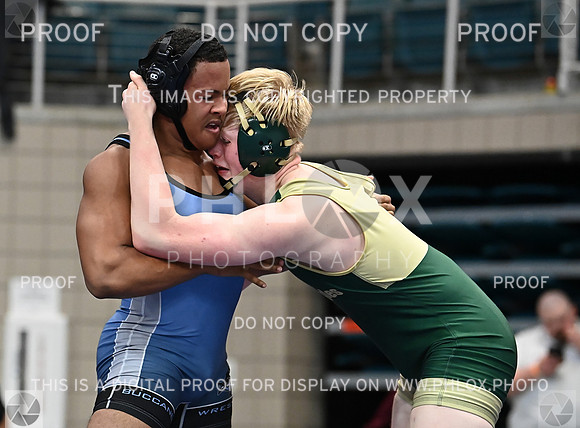 DLS_0981