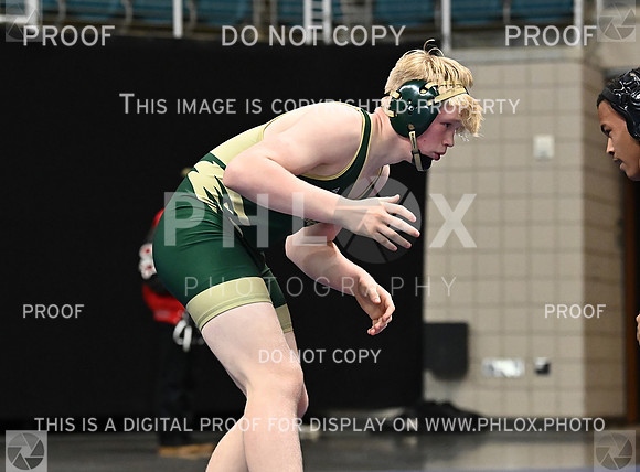 DLS_0876