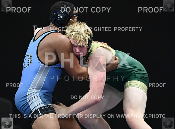 DLS_0964