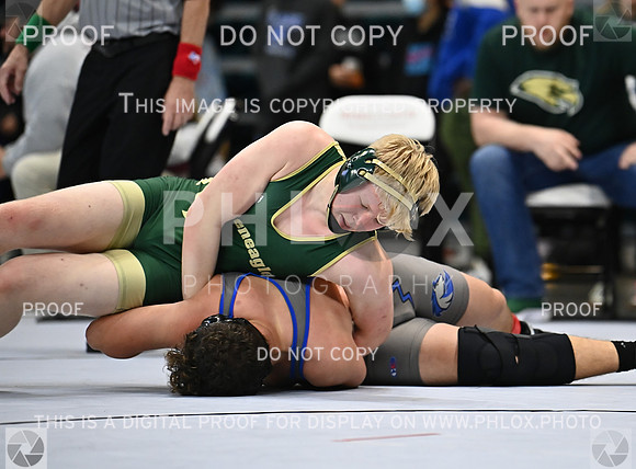 DLS_9315