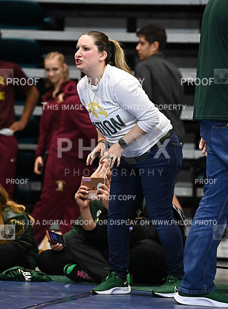 DLS_0970