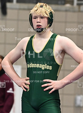 DLS_0902