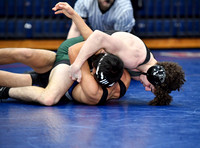 FDS_7986