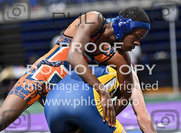 DLS_3734