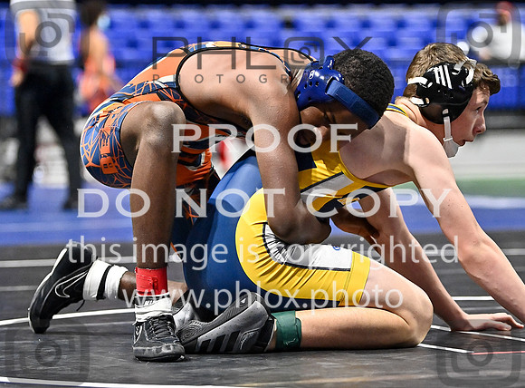 DLS_3729