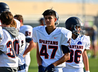 DLS_0545