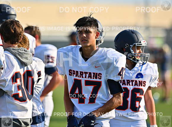 DLS_0545