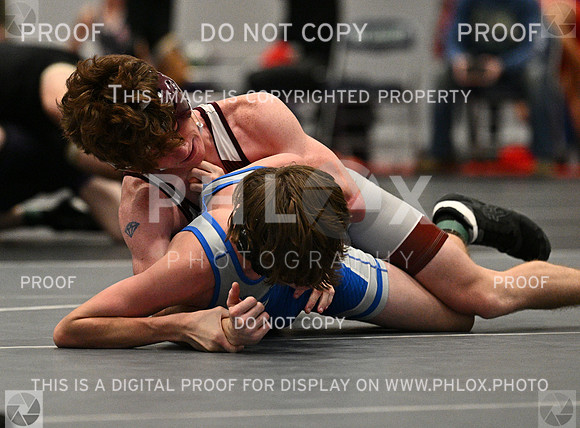 DLS_7982