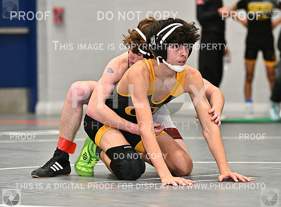 DLS_8469
