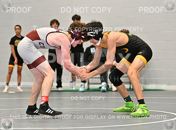 DLS_8493