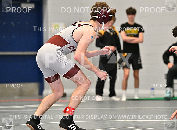 DLS_8435