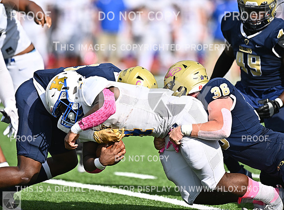DLS_8974