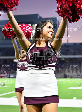 FDS_5752