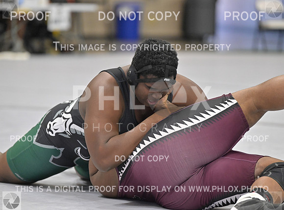 TZ9_0859