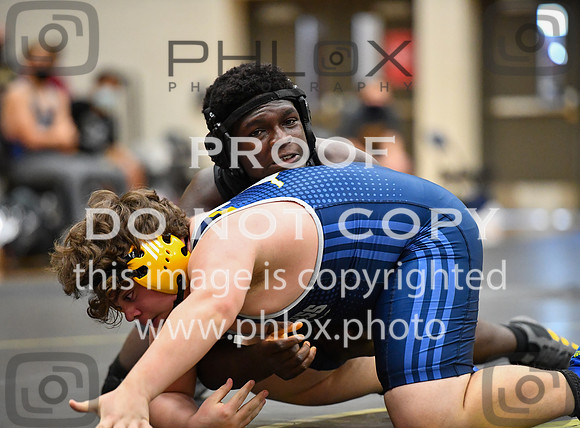 FDS_3594