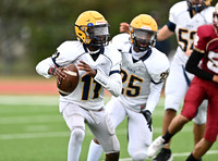 JO6_6131