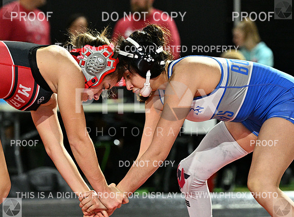 DLS_7215