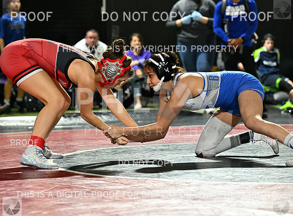 DLS_7197
