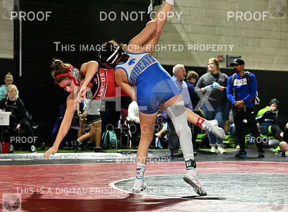 DLS_7202