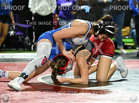 DLS_7219