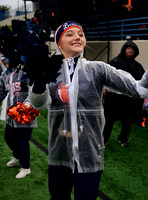 TOM_2306