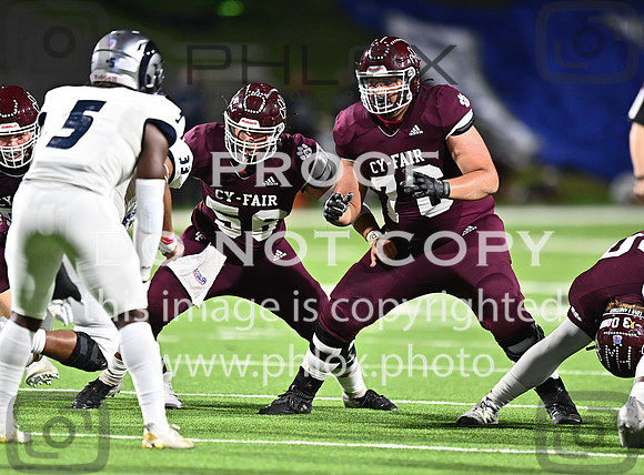 DLS_1695