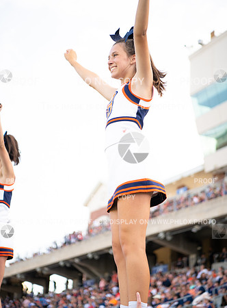 TOM_5667