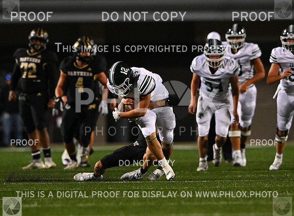 DLS_6799