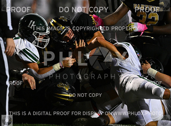 DLS_6732