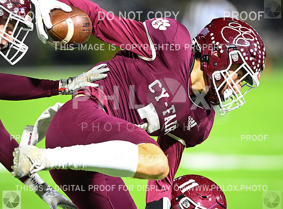 DLS_7256-2