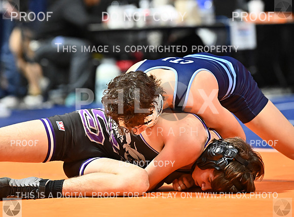 DLS_9322
