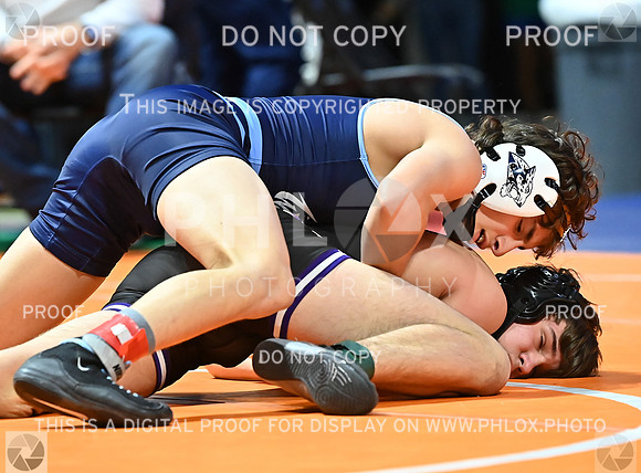 DLS_9316