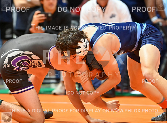 DLS_9304