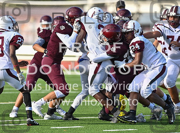 DLS_1489