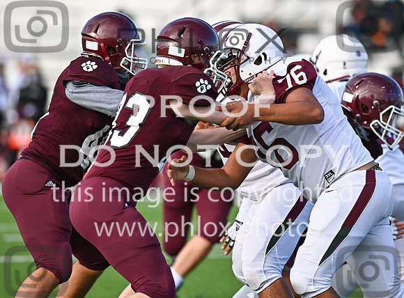 DLS_1613
