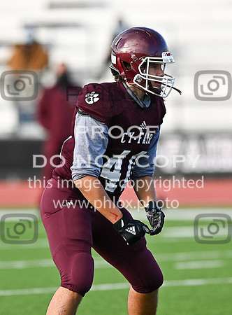 DLS_1609