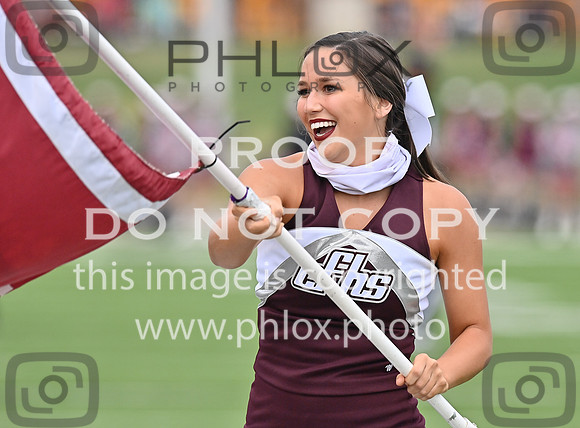 DLS_9818