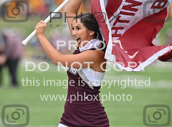 DLS_9828
