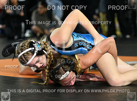 DLS_9038