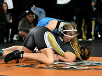 DLS_9031