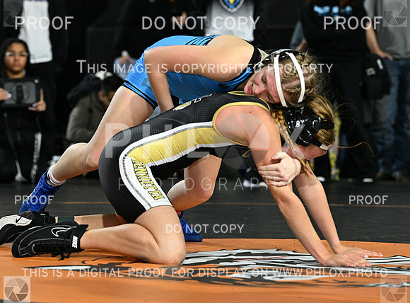 DLS_9032