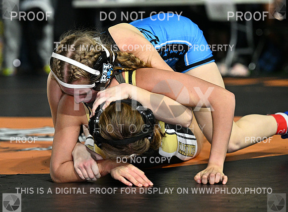 DLS_9023