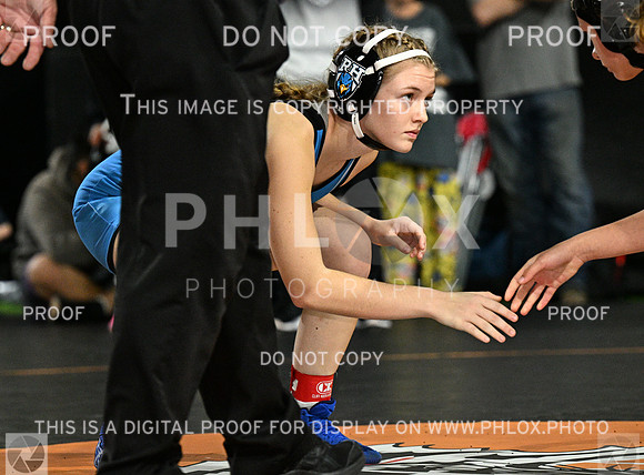 DLS_8987