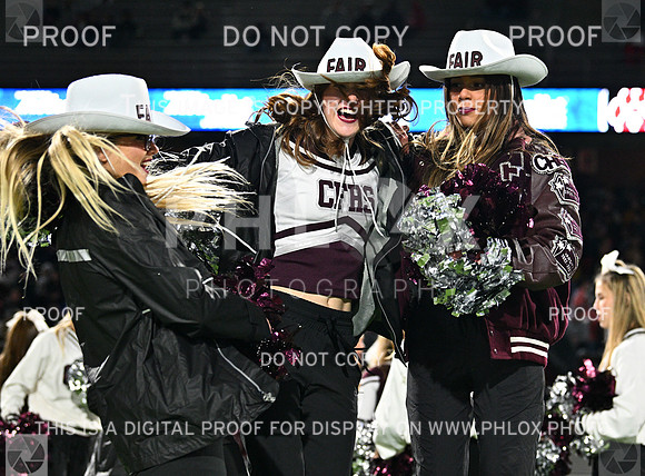 DLS_7838
