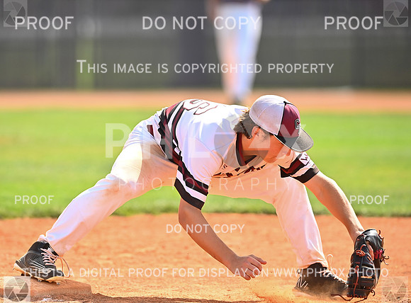 DLS_5121