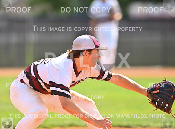 DLS_5117
