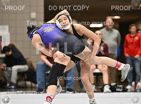 DLS_1446-2