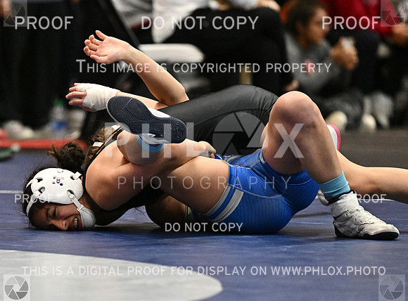 DLS_2913-2