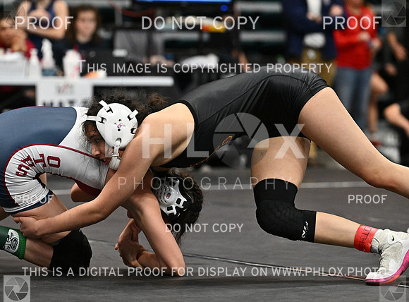 DLS_1915-2