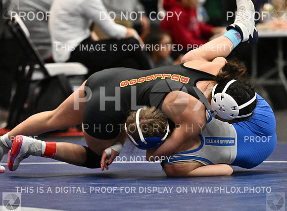 DLS_2903-2